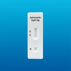 Prueba rápida de Antígeno de Salmonella typhi