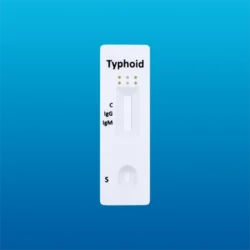 Prueba rápida de Tifoidea