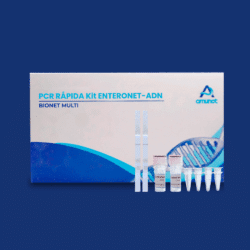 PCR rápida-LAMP para Enterococcus faecalis