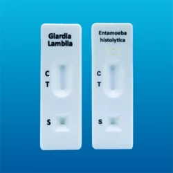 Kit de pruebas rápidas Entamoeba H. + Giardia Lamblia
