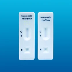 Kit de pruebas rápidas Entamoeba H. + Salmonella Typhi