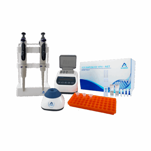 Laboratorio editable caja vph sin fondo